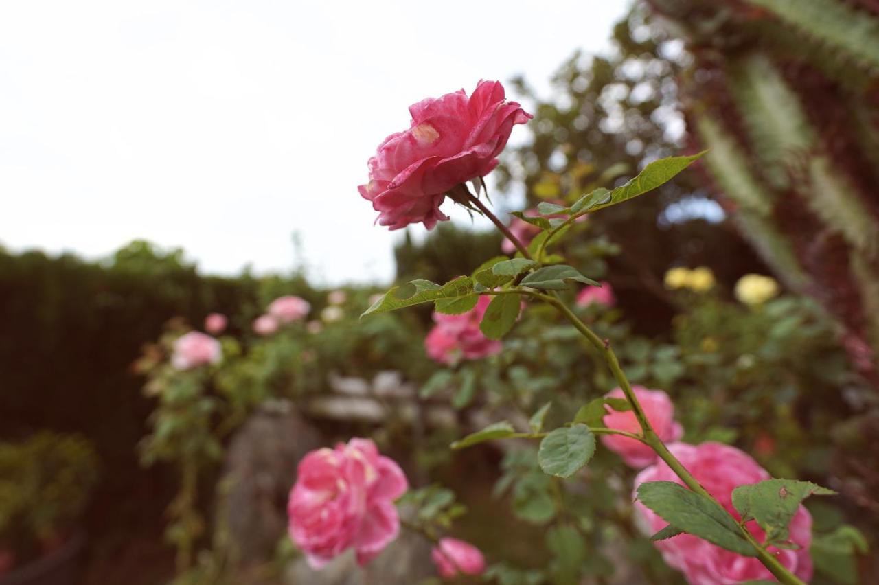 Taitung city-cottage B&B Exterior foto
